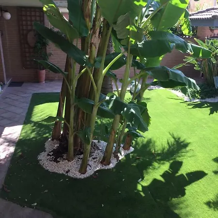 A57 Banano בית הארחה