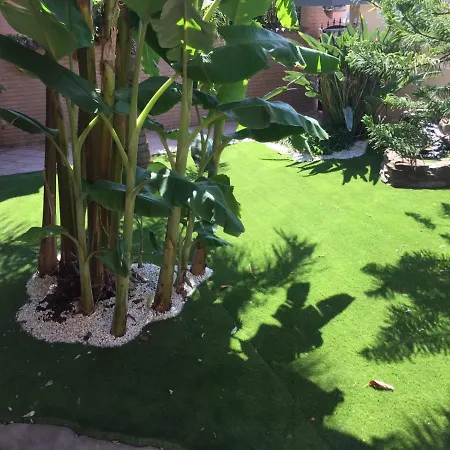 A57 Banano ゲストハウス