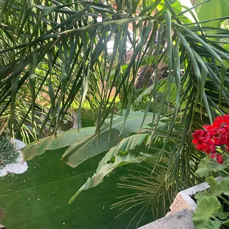 A57 Banano Гостевой дом Фьюмичино