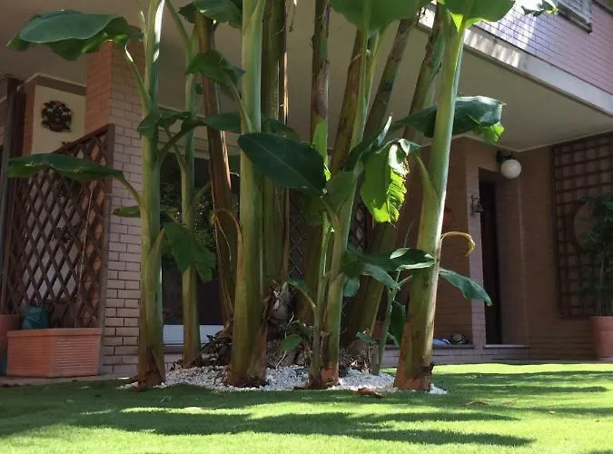 A57 Banano 3* フィウミチーノ